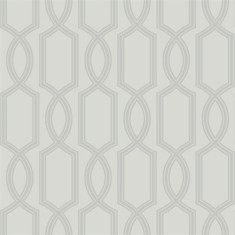 Silver Glass Bead Textured Trellis Wallpaper