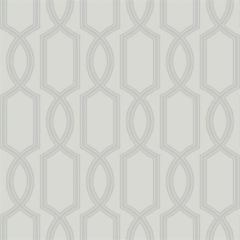Silver Glass Bead Textured Trellis Wallpaper