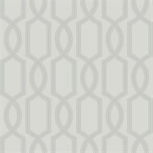 Silver Glass Bead Textured Trellis Wallpaper