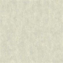 Silver on Grey Shimmering Patina Texture Wallpaper