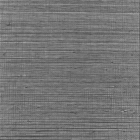 Silver & Sage Wallquest BX10038 Grasscloth Metallic Wallpaper