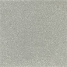 Terra Mica Silver Wallpaper