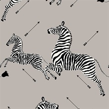 WP81388M-005 | Black Zebra Wallpaper | Wallpaper Boulevard