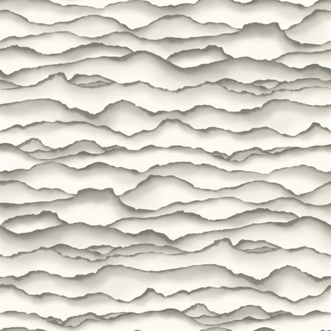 Singed Wallpaper - Gray