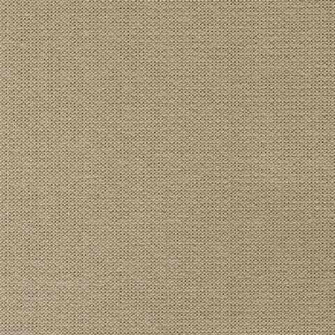 Siparia Sandstone