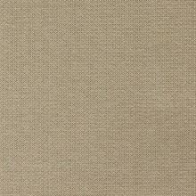 Siparia Sandstone