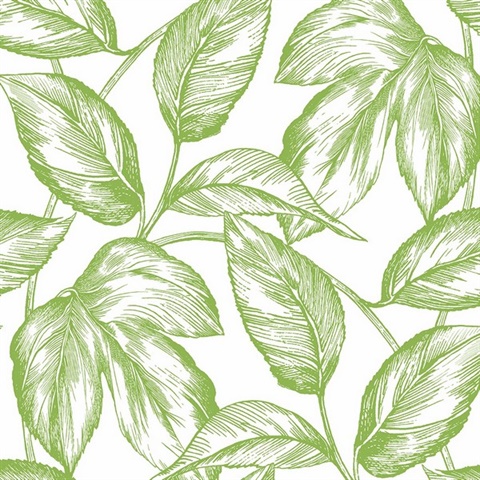 Sketched Leaves Botanical Greenery Peel and Stick Wallpaper