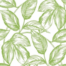 Sketched Leaves Botanical Greenery Peel and Stick Wallpaper