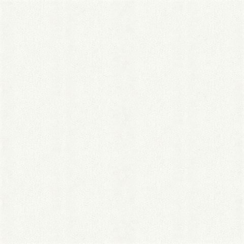 Skin Plain