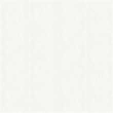 Skin Plain