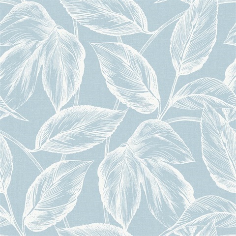 Sky Blue Beckett Sketched Leaves Wallpaper