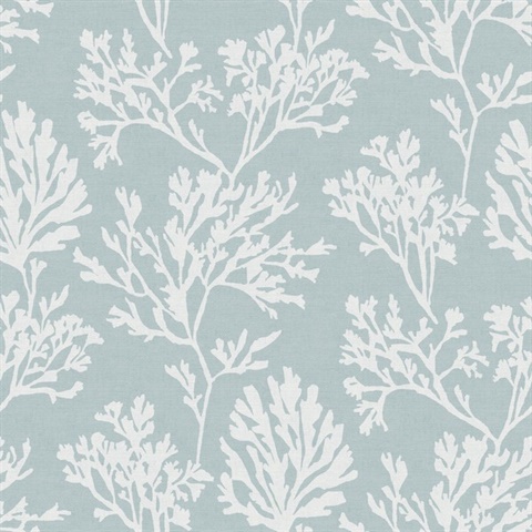 Sky Blue Tortuga Coastal Coral Reef Wallpaper