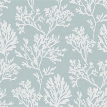 Sky Blue Tortuga Coastal Coral Reef Wallpaper