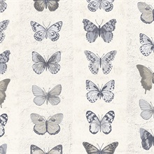 G67994 | Turquoise Butterflies | Wallpaper Boulevard