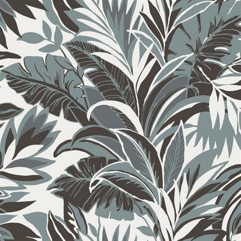 Slate Palm Silhouette