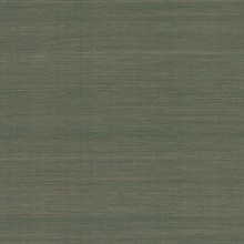 Smooth Abaca Forest Wallpaper