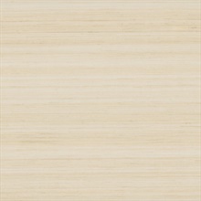 Smooth Abaca Sand Dollar Wallpaper