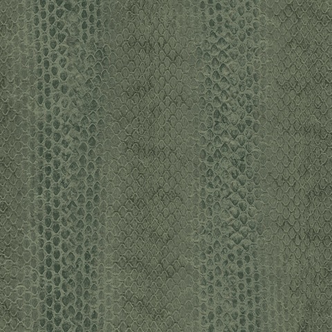 Dark Green Textured Snake Skin Wallpaper Dark Green