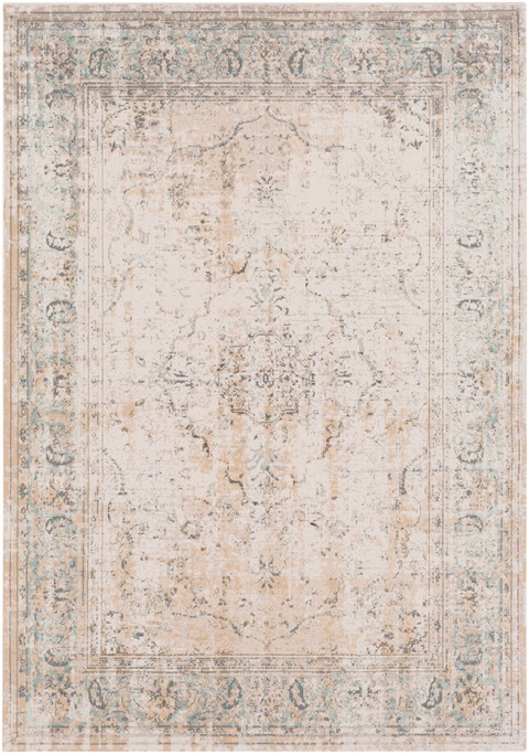 SNW2300 Stonewashed - Area Rug