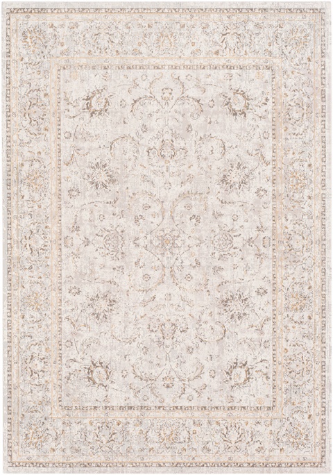 SNW2302 Stonewashed - Area Rug