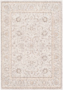SNW2302 Stonewashed - Area Rug