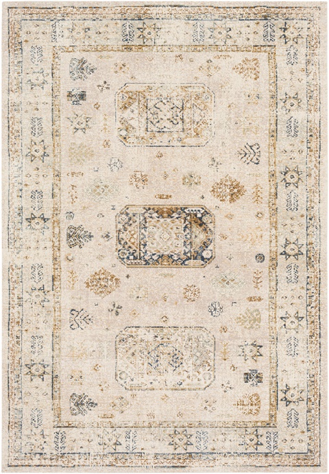 SNW2305 Stonewashed - Area Rug