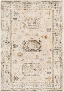 SNW2305 Stonewashed - Area Rug