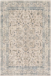 SNW2307 Stonewashed - Area Rug