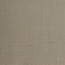 Snyder Paris Grey