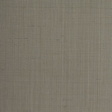 Snyder Shutter Grey