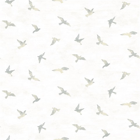 3118-12623 | Soar Grey Bird | Wallpaper Boulevard
