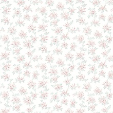 Sofiane Blush Botanical Trail Wallpaper