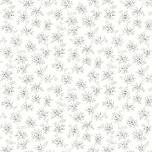 Sofiane Grey Botanical Trail Wallpaper