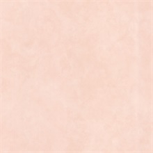 Sofie Peach Texture