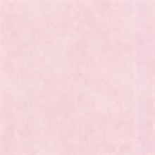 Sofie Pink Texture