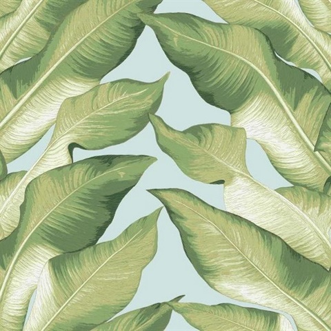 NV5542 | Soft Blue Beverly Hills Large Banana Leaf Wallpaper