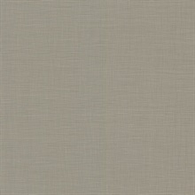 Soft Landing Mineral French Linen