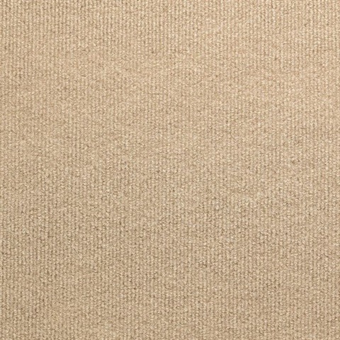 Softrack Taffy Acoustical Wallpaper