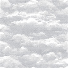 Solstice Dove Cloud Wallpaper