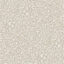 Soma Silver Foiled Metallic Crackling Wallpaper