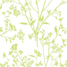 Southport Chartreuse Coastal Branches Wallpaper