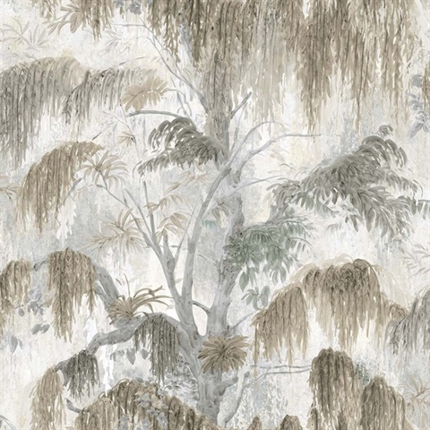 Spanish Moss Fog Tree Wallpaper