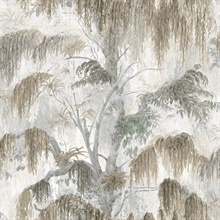 Spanish Moss Fog Tree Wallpaper