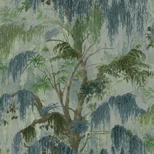 Spanish Moss Lush Tree Wallpaper