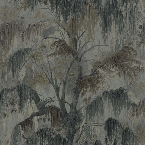 Spanish Moss Rain Tree Wallpaper