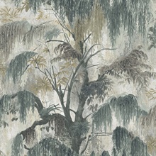 Spanish Moss Rhino Tree Wallpaper