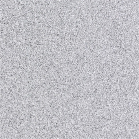 Sparkle Silver Glitter