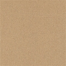 Spencer Camel Commercial Wallpaper