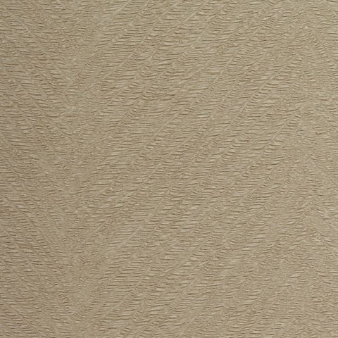 Spencer Canvas