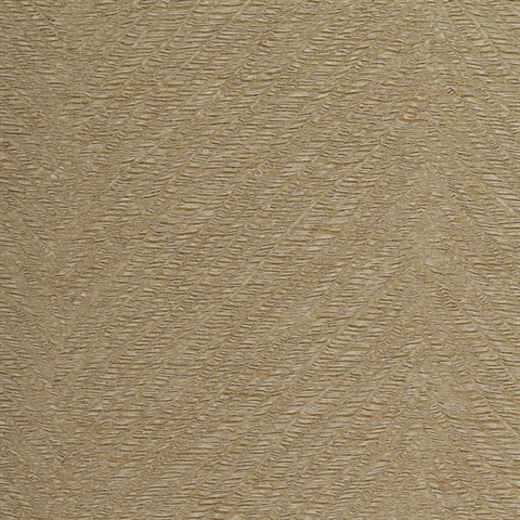 Spencer Jute